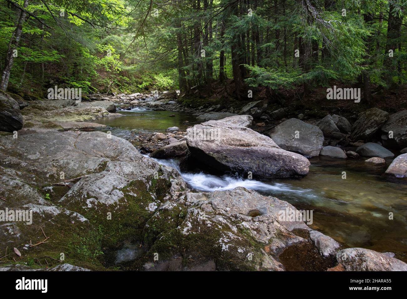 River in an autumn forest Stock Photo - Alamy