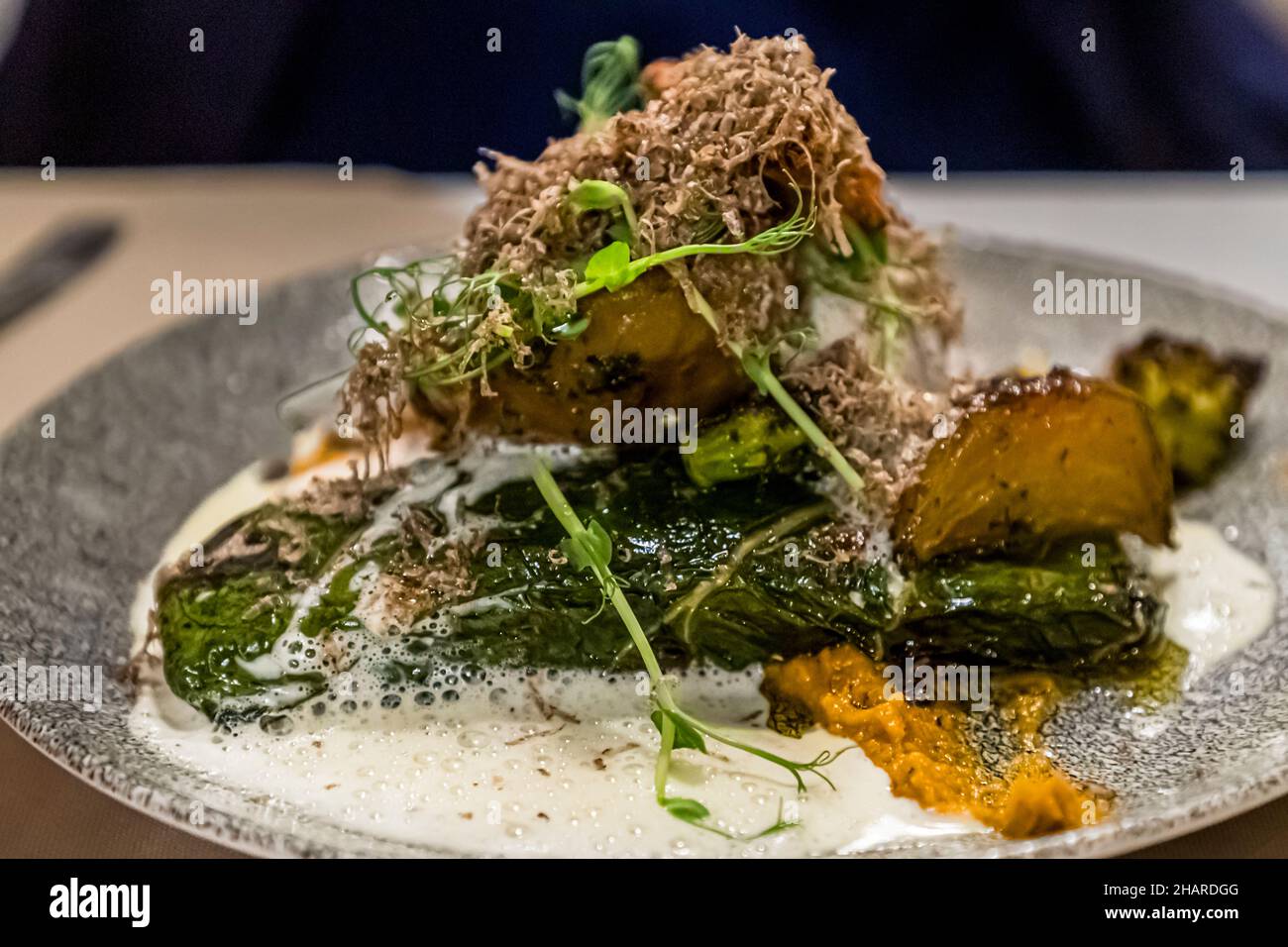 Dish of chef Alexandre Dimtch, Restaurant Saint Marc, Aups, with freshly grated black truffles in Aups, France Stock Photo