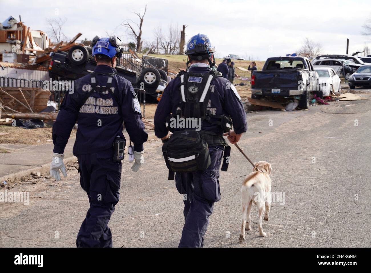 Dawson Springs, United States of America. 14 December, 2021. Urban Search and Rescue teams from Ohio Task Force One working with canine rescue dogs search rubble for survivors in the aftermath of devastating tornadoes that swept across four states destroying structures and killing dozens December 14, 2021 in Dawson Springs, Kentucky. Credit: Dominick Del Vecchio/FEMA/Alamy Live News Stock Photo
