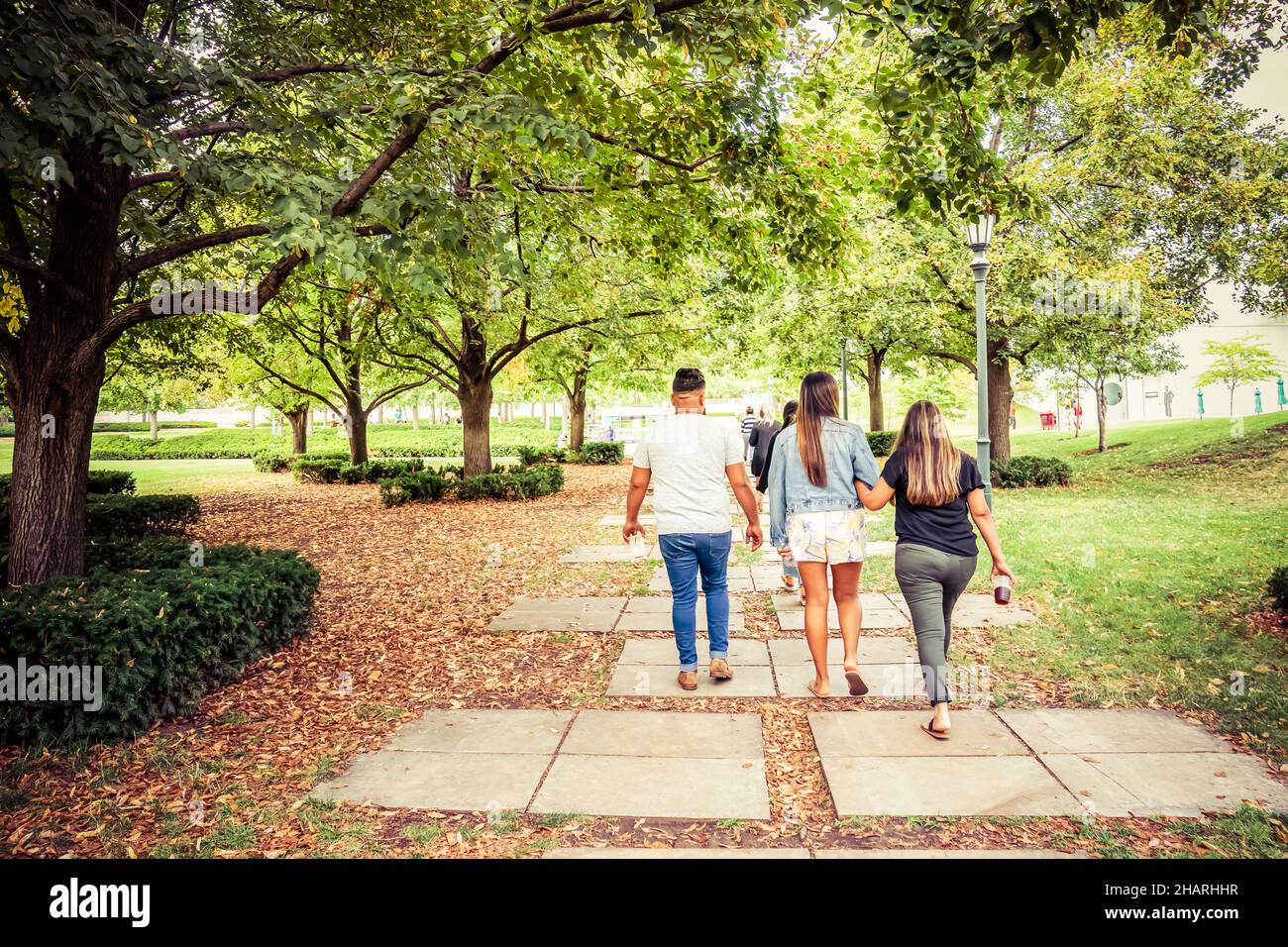 Rear view of people walking in the park with beautiful greenery on a ...
