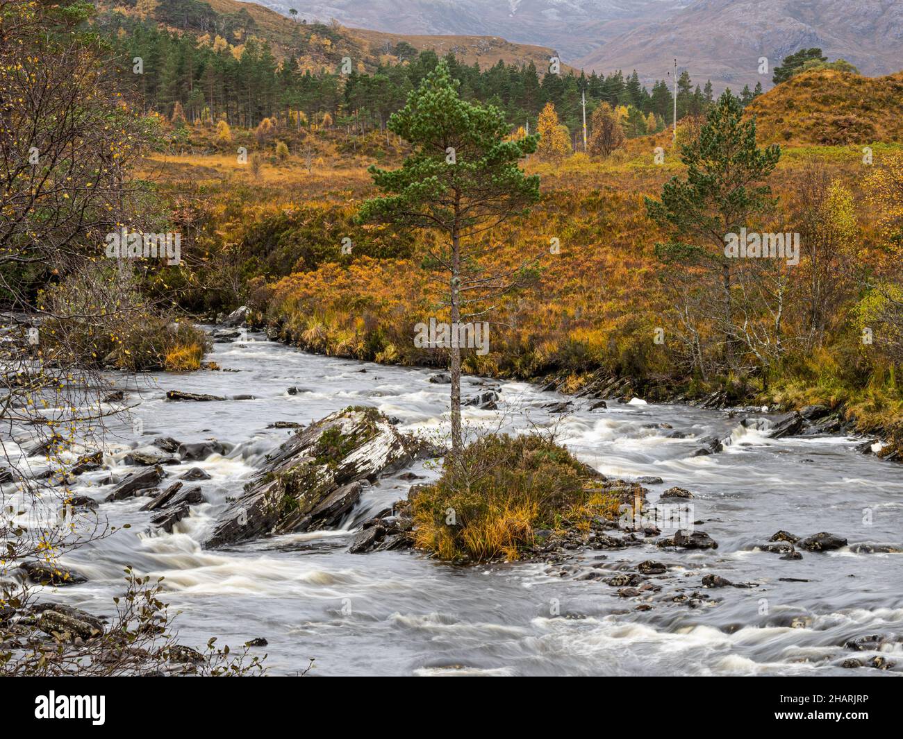 River A'Ghairbhe, running from Loch Clair to Kinlochewe along the side of the A869 between Torridon and Kinlochewe in Autumn/Winter Stock Photo