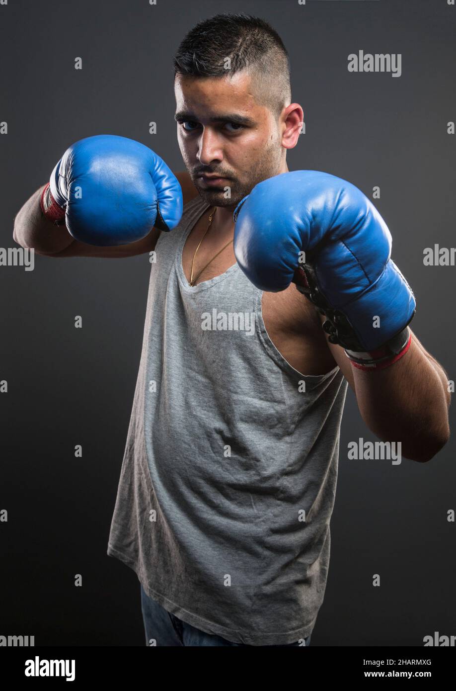 Portrait of a male boxer Stock Photo Alamy