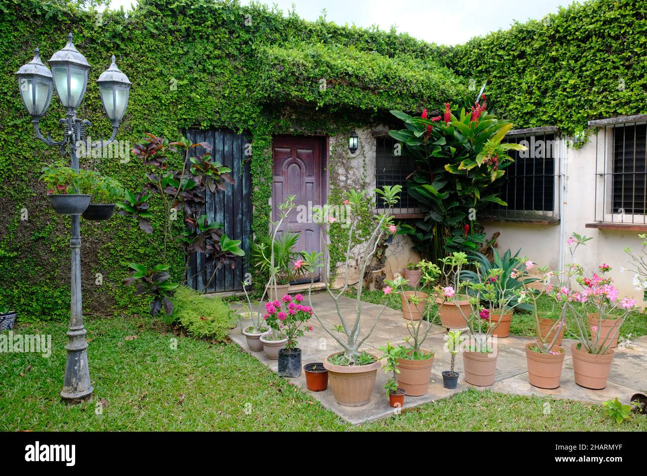 Mexico Valladolid - Beautiful garden of a town house Stock Photo