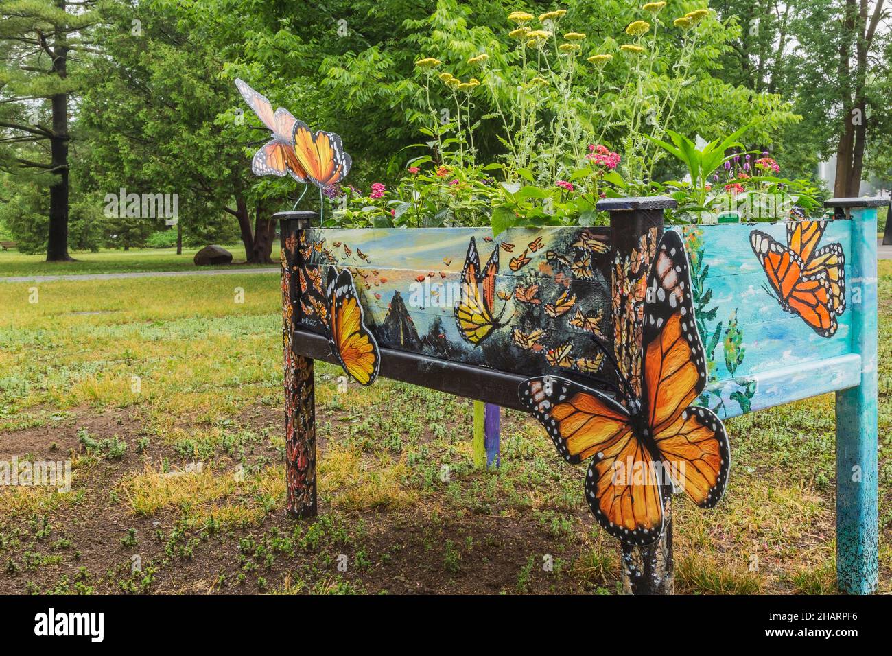 Colourful painted freestanding flower box and mixed plants, flowers including yellow Achillea