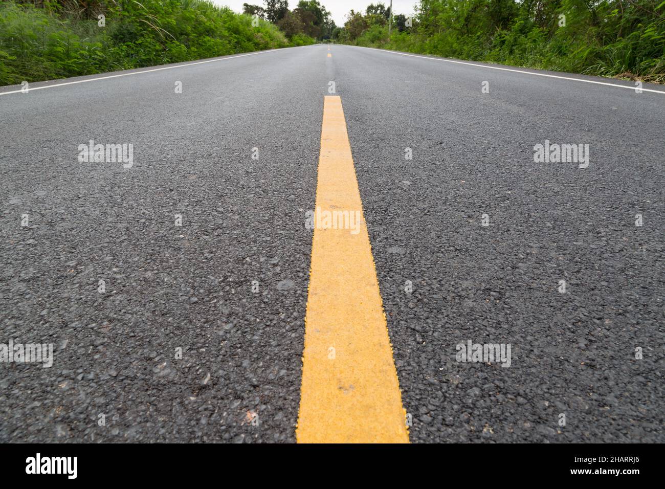 The yellow line on the road with tree and sky background Stock Photo