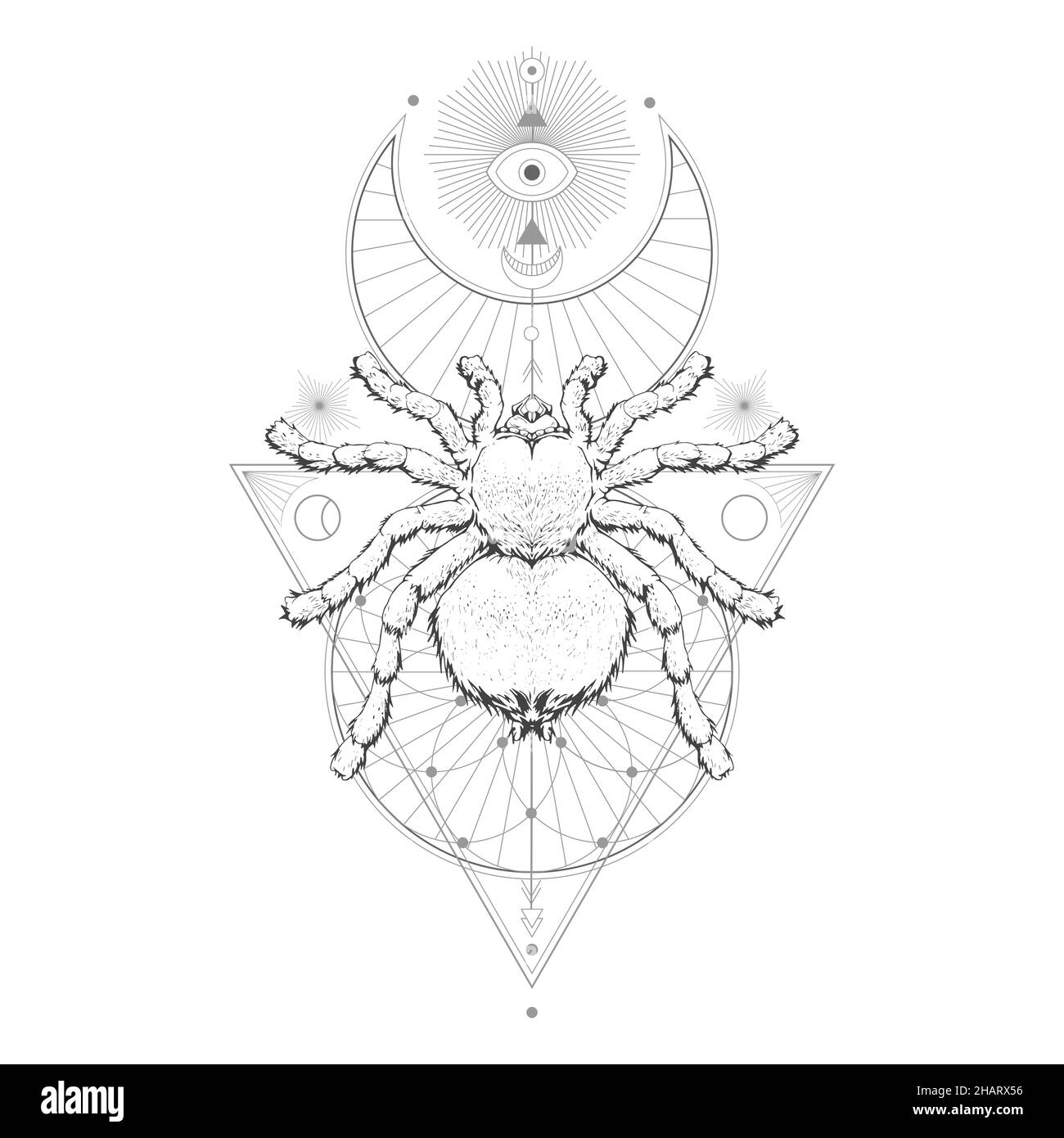 Vector illustration with hand drawn spider tarantula and Sacred geometric symbol on white background. Abstract mystic sign. Black linear shape. Stock Vector