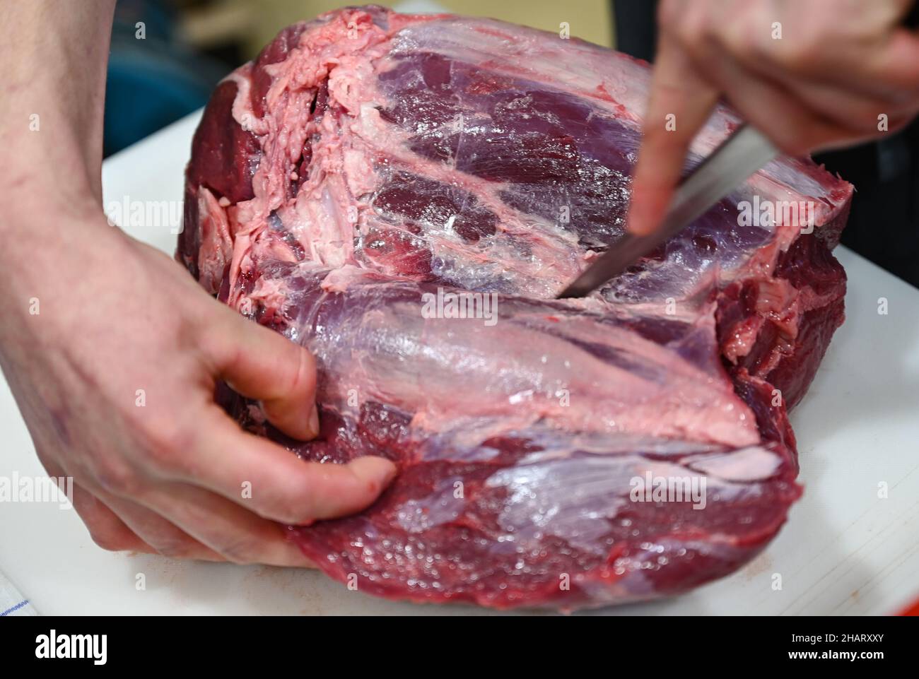 https://c8.alamy.com/comp/2HARXXY/weiterstadt-germany-22nd-nov-2021-a-large-piece-of-beef-is-parried-with-a-knife-in-the-kitchen-of-germanys-only-federal-training-centre-for-the-butchers-trade-in-weiterstadt-in-southern-hesse-master-butchers-sales-managers-and-sommeliers-train-their-skills-the-master-butchers-are-plagued-by-a-shortage-of-young-talent-a-national-team-advertises-with-image-campaigns-and-also-competes-with-colleagues-from-other-countries-credit-arne-dedertdpaalamy-live-news-2HARXXY.jpg