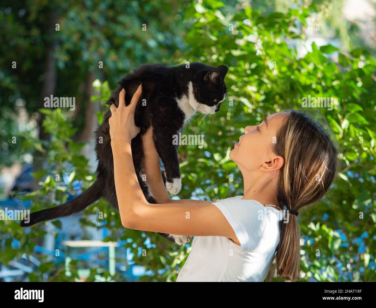 Teenager girl holds a black stray cat in her arms and looks at him. Animal care concept. Stock Photo
