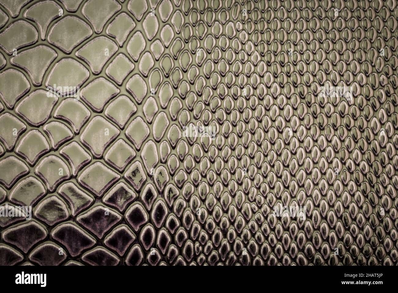 Close Up Of Green Luxury Snake Skin Texture Use For Background Stock Photo  Picture And Royalty Free Image Image 56704804