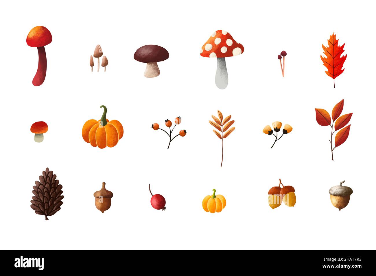 Set of autumn illustration element, Dried leaves, mushroom, pine & walnuts on white background. Thanksgiving day concept Stock Photo