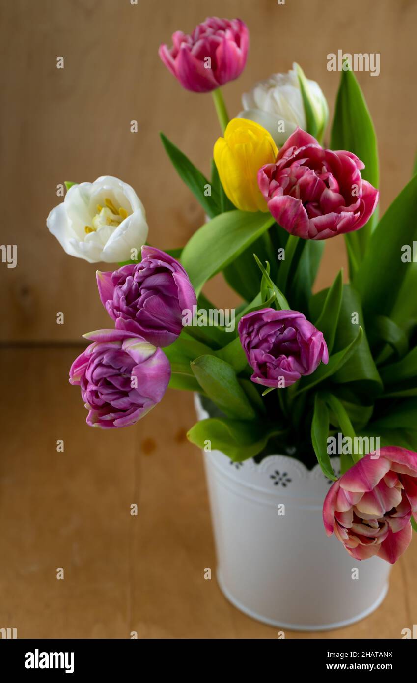 Mix of spring tulips flowers. Bouquet in a vase. Multi-colored spring flower. Gift. Red, pink, white and yellow. Background with flowers tulips close-up different colors. Stock Photo