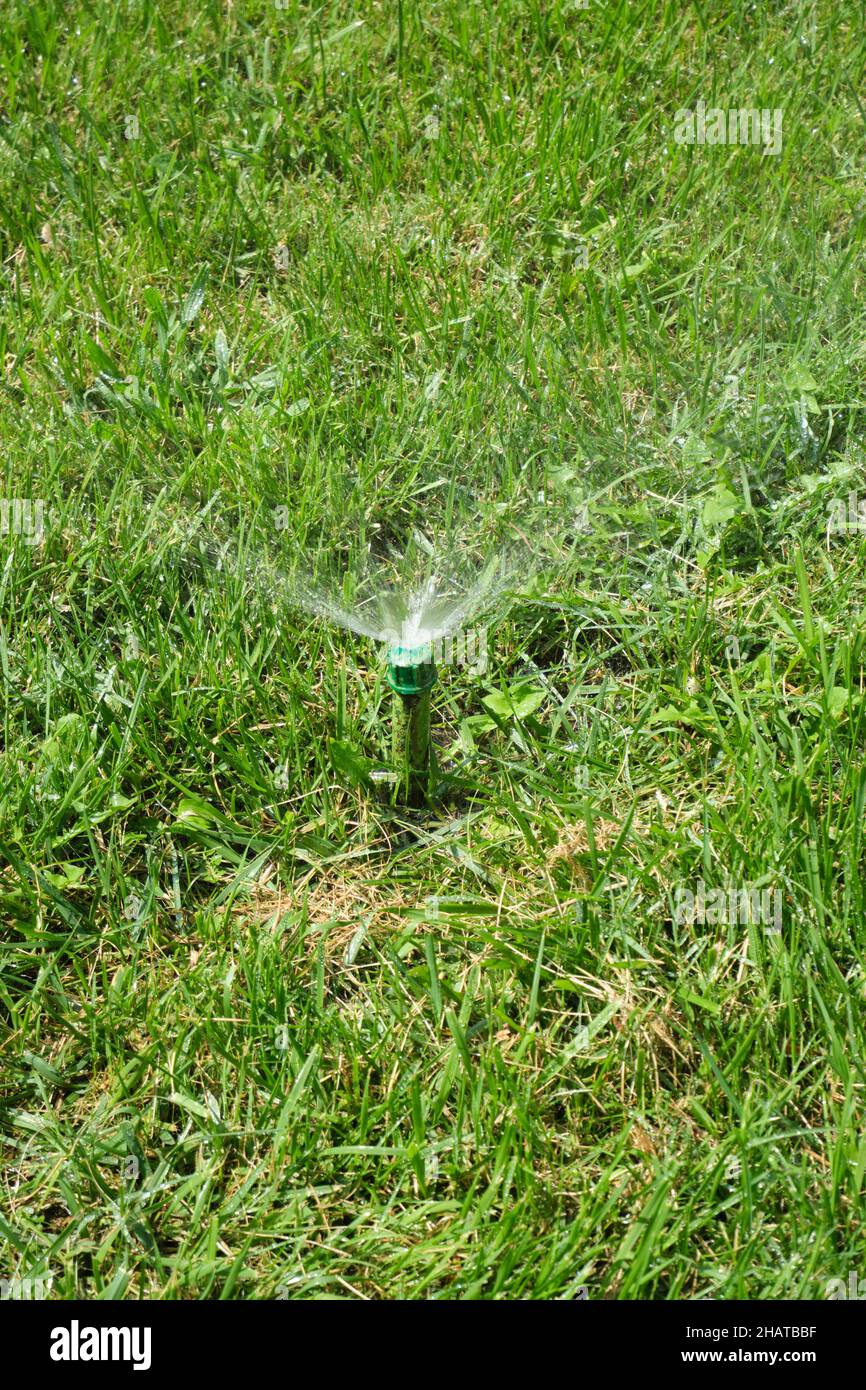 A homemade, rigged sprinkler head watering green grass. In Tashkent, Uzbekistan Stock Photo Alamy