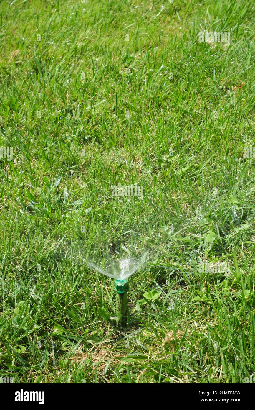 A homemade, rigged sprinkler head watering green grass. In Tashkent, Uzbekistan Stock Photo Alamy