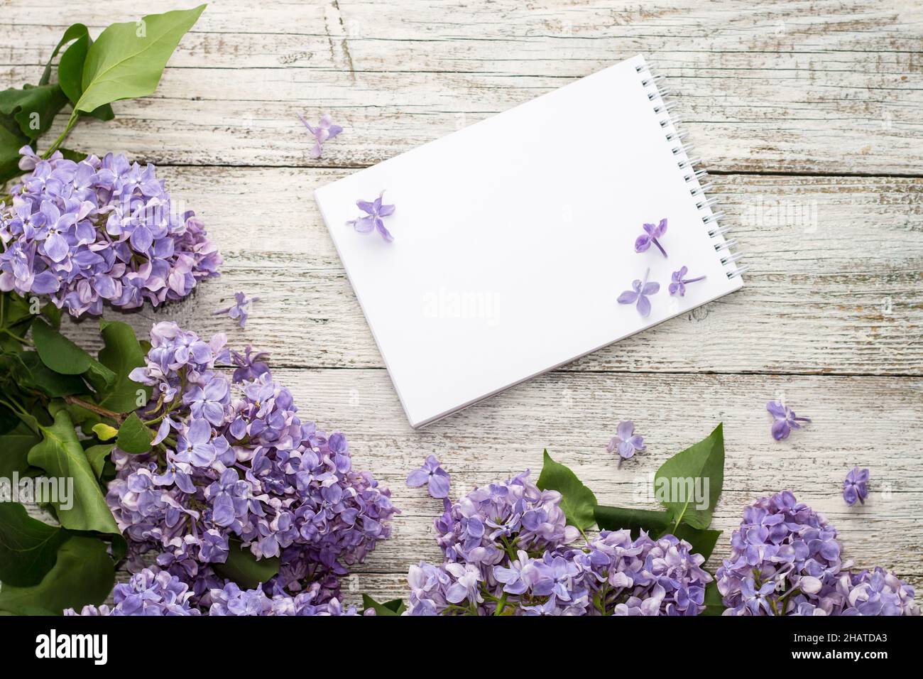 Clean notepad with spring lilac flowers on white wooden background. Top ...