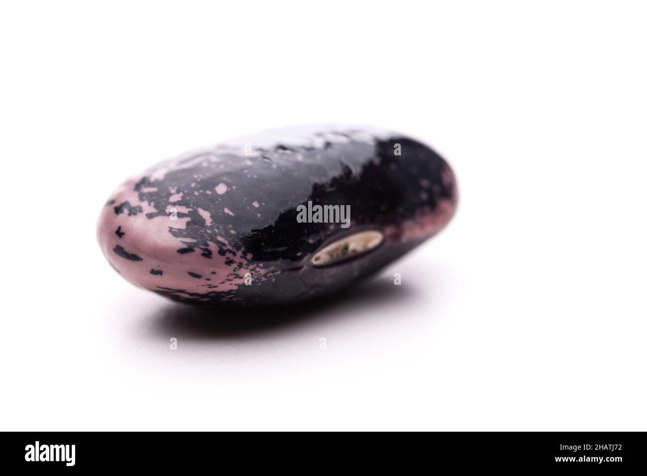 bean, beans, dark, white, background, horizontal, single, alone, one, scarlet runner beans, shell, patterns, foods, carbohydrates, Styria, detail, det Stock Photo