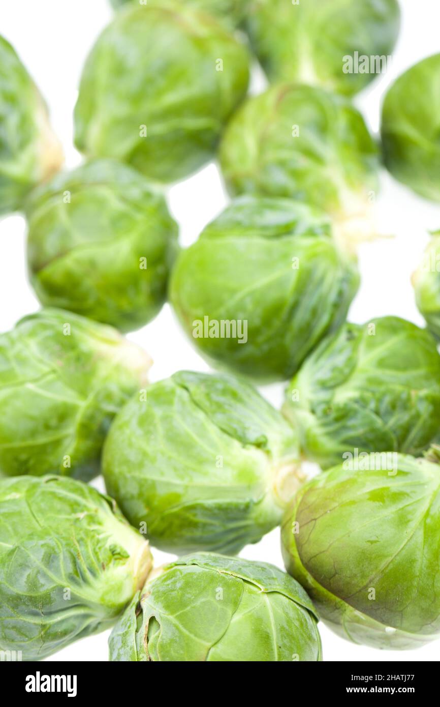 brussels sprouts, cabbage, kale, green, herb, sprouts, white, vegetables, whole, entire, background, detail, close, front, several clusters, typical, Stock Photo