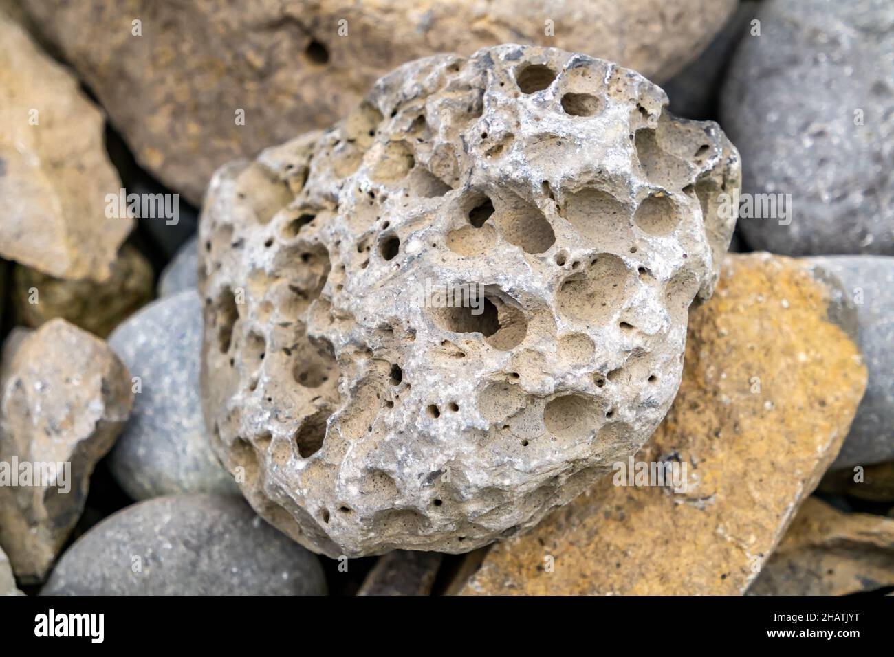 Stones with rock erosion holes at beach in Ireland Stock Photo Alamy