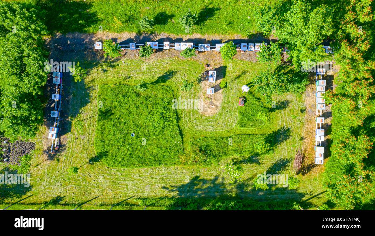 Above top view over beekeeper as cutting grass among beehives arranged