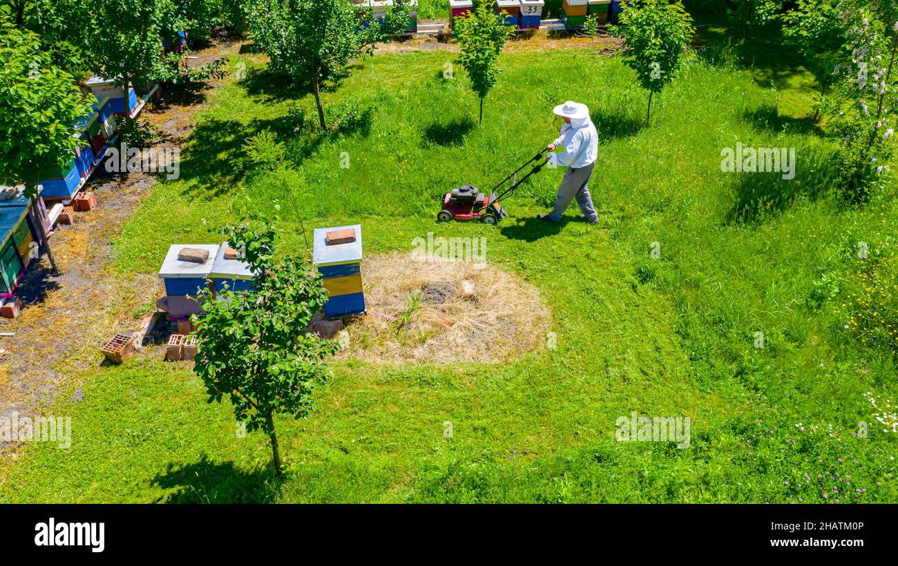 Above view over beekeeper as cutting grass among beehives arranged in a