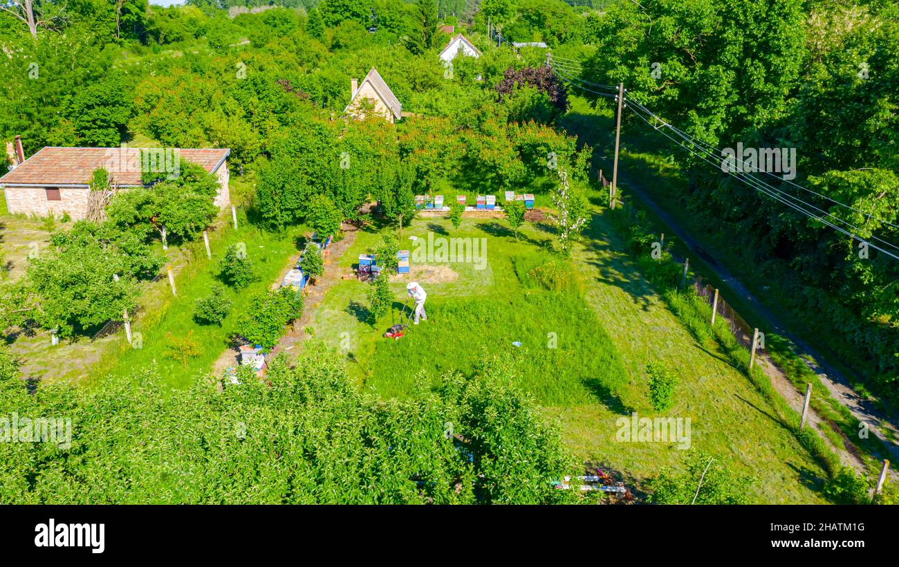 Above view over beekeeper as cutting grass among beehives arranged in a