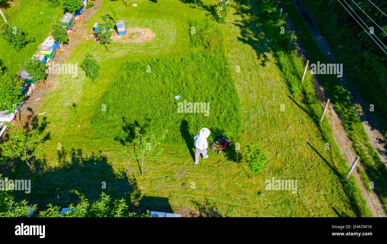 Above view over beekeeper as cutting grass among beehives arranged in a