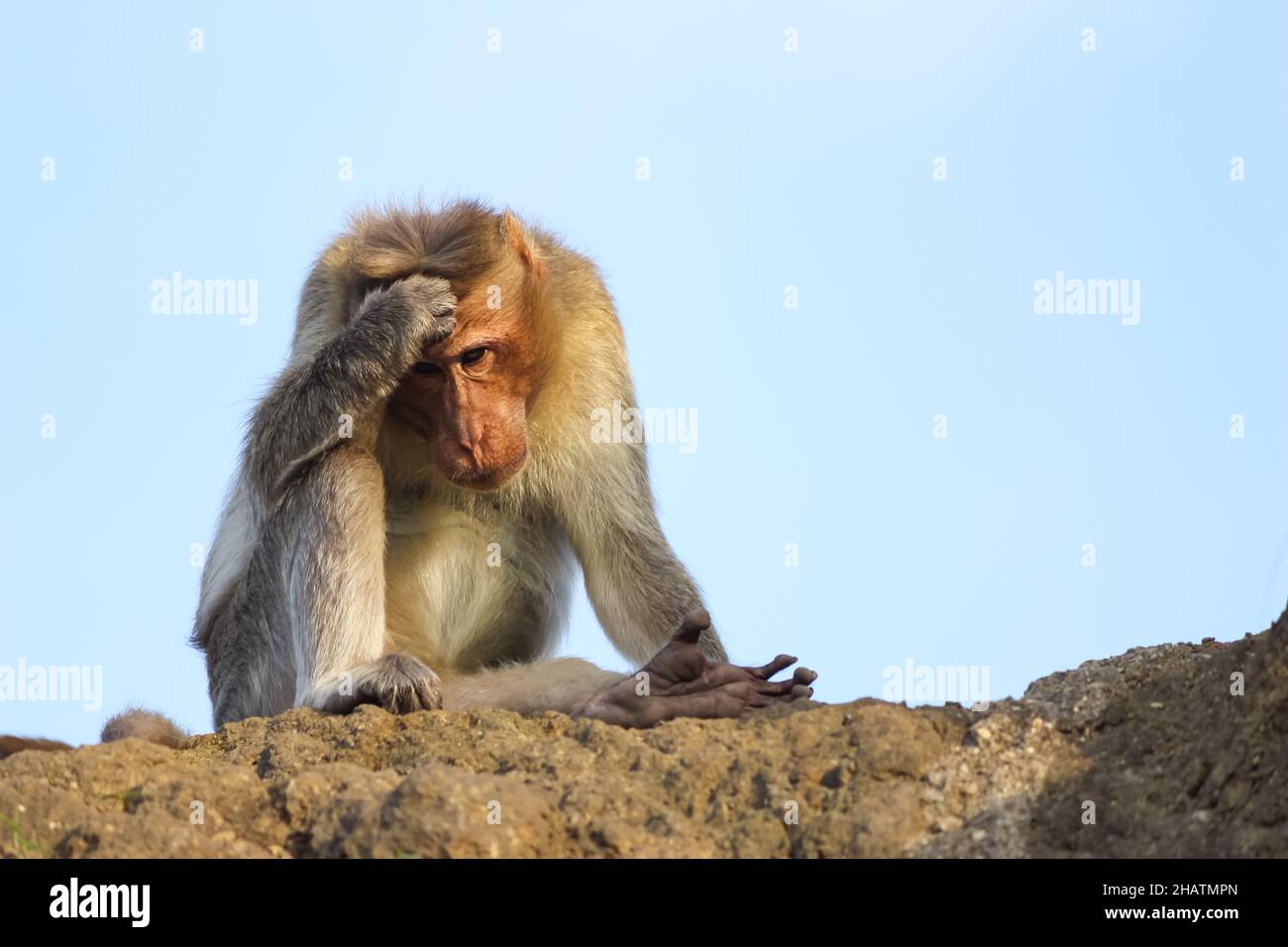 Funny expressions hi-res stock photography and images - Alamy