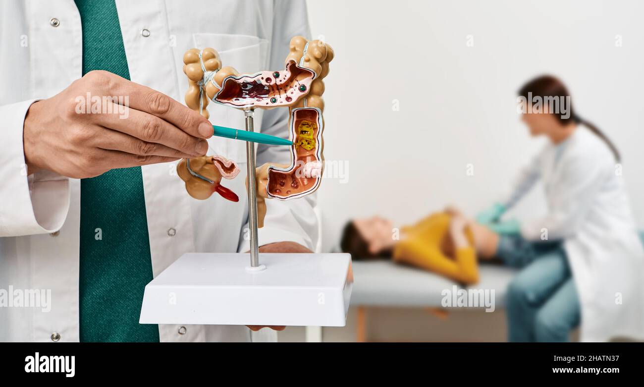 Anatomical intestines model with pathology in doctor hands. Gastroenterologist palpates patient abdomen and examines belly at clinic over background Stock Photo