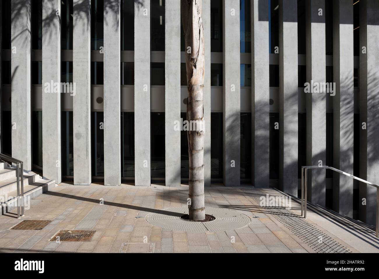 Concrete Columns & Palm Tree, Maison de la Créativité or Camondo Art School, designed by Christian Devillers, Chalucet District Toulon Provence France Stock Photo