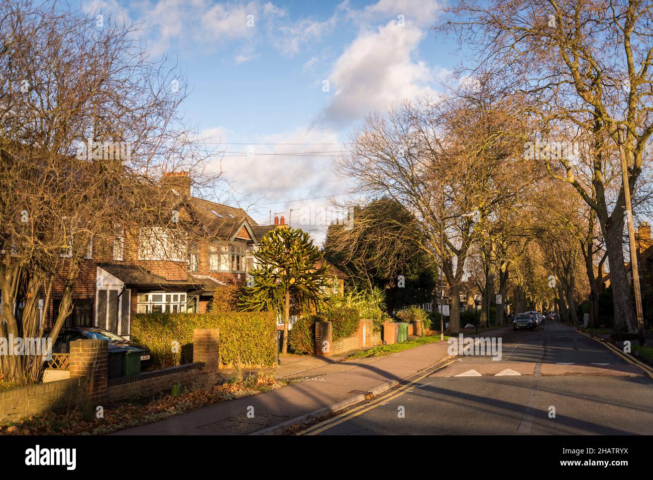 Residential houses in The Drive, E17, Walthamstow, London, England, UK