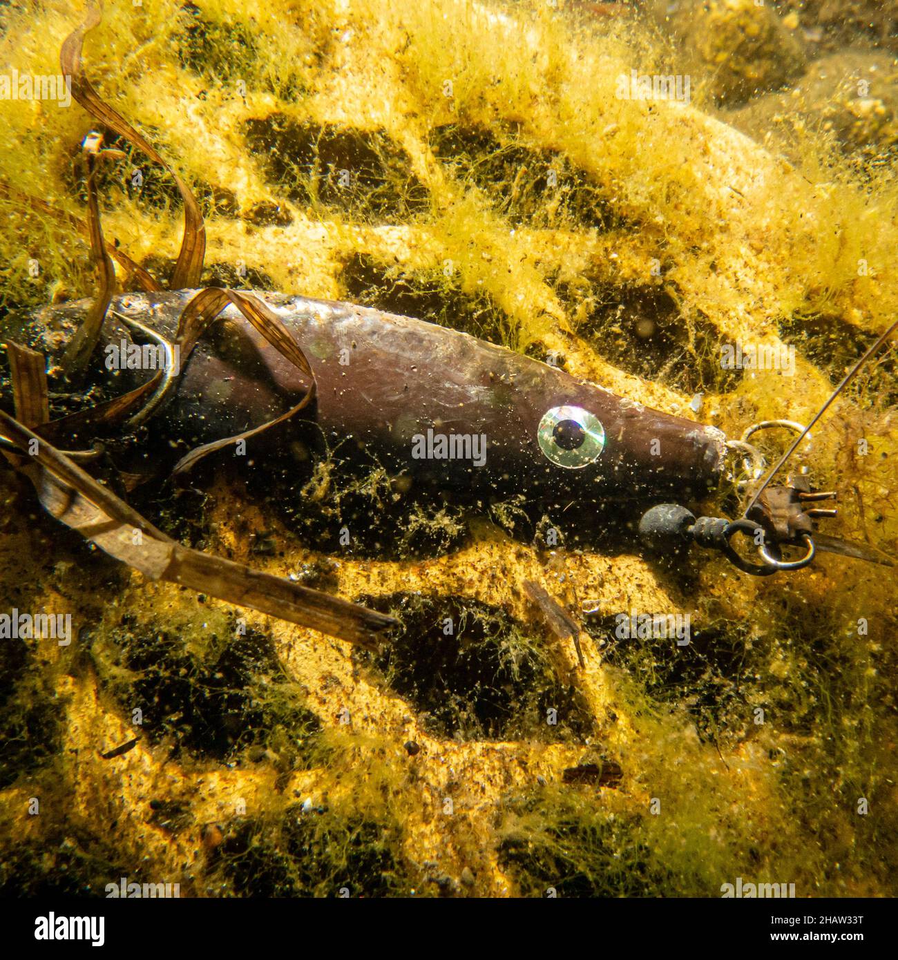 An underwater picture of a fishing lure for catching predatory fish. Brown lure on a yellow brick. The concept of active recreation Stock Photo