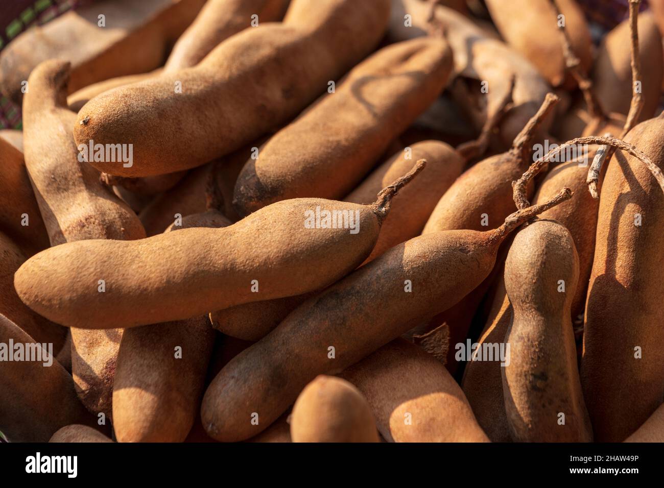 Pile of ripe tamarind fruits in a market place. Organic tamarind wallpaper background concept. Stock Photo