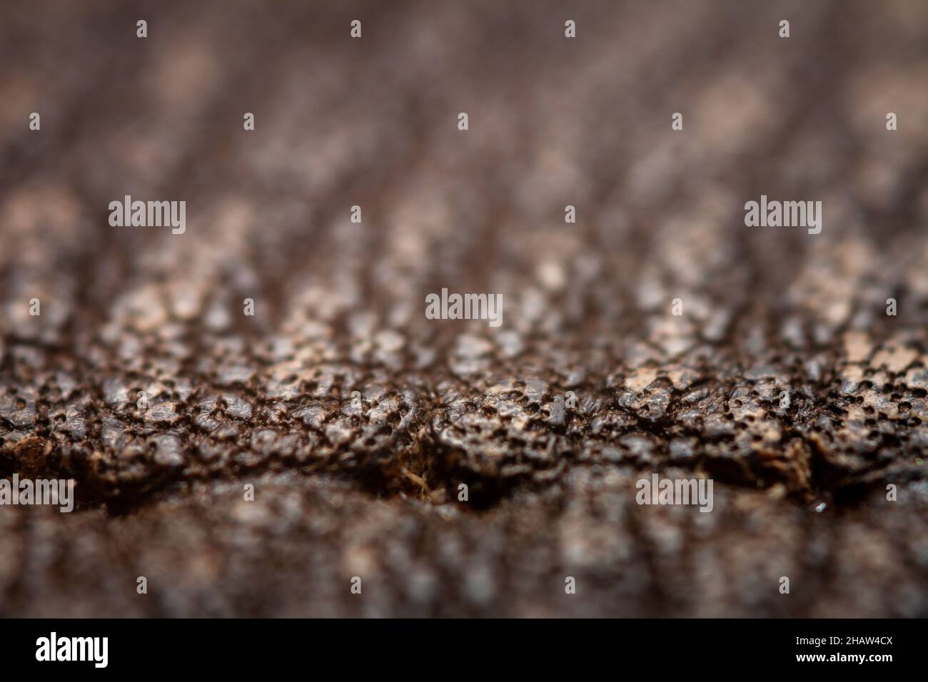 Extreme closeup of a leather, shallow deph of field. Macro for brown leather. Selective focus. Stock Photo