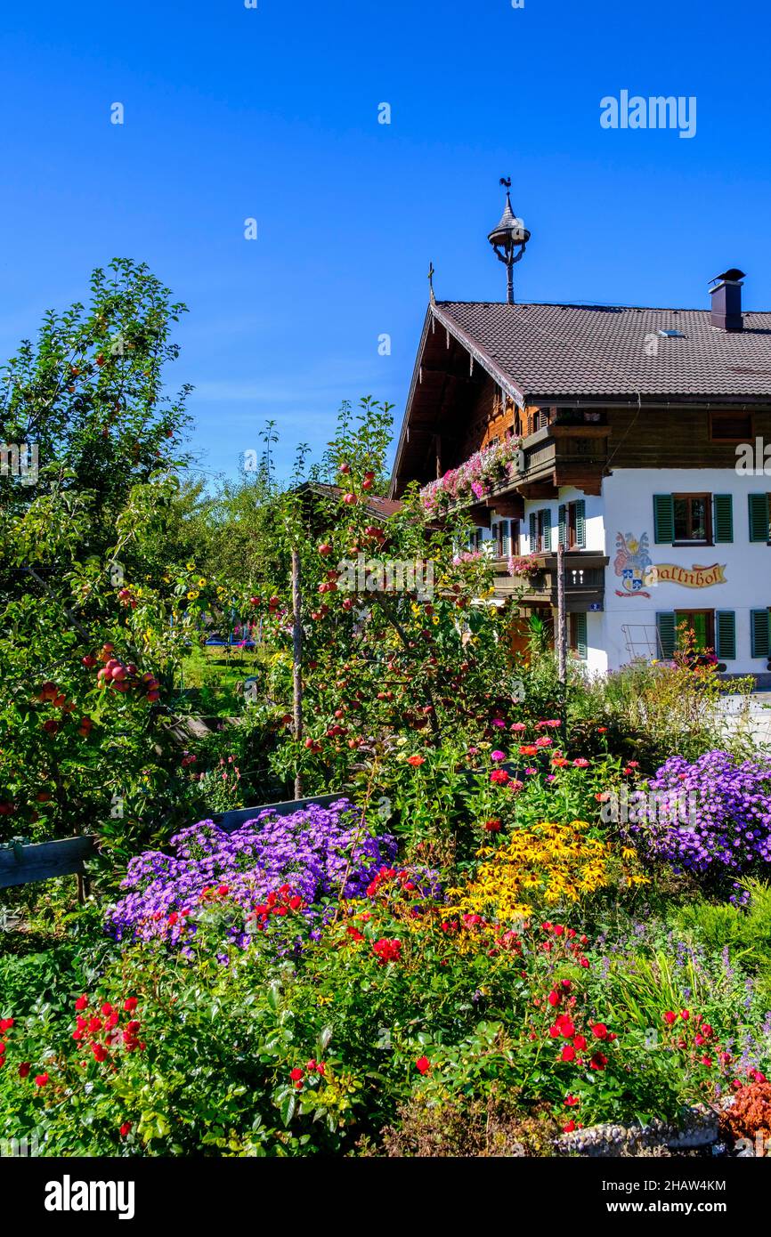 butlers kunstpflanzen BLOOM Deko-Blume – jetzt entdecken ✨ – BUTLERS main image 0
