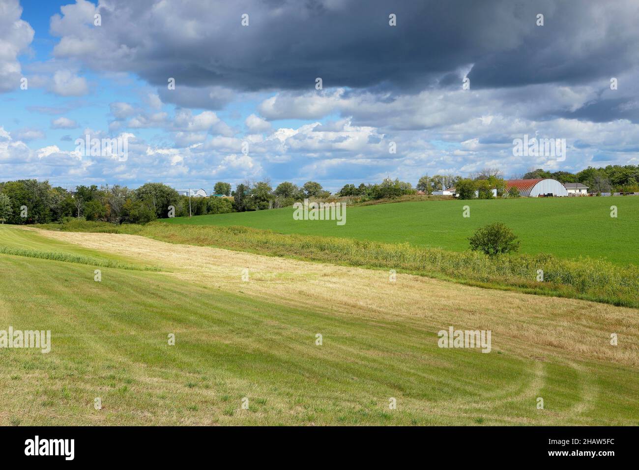 Field, farmland landscape, Province of Quebec, Canada Stock Photo