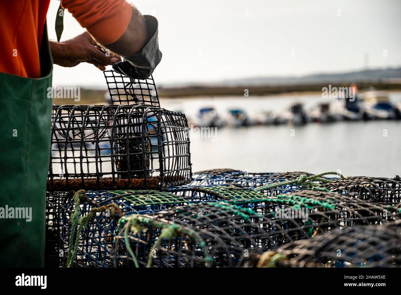 Fisherman puts crab inside octopus traps in Alvor, Algarve, Portugal Stock Photo