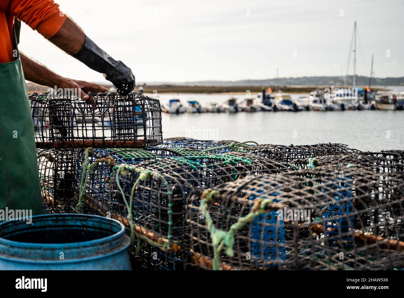 Fisherman puts crab inside octopus traps in Alvor, Algarve, Portugal Stock Photo