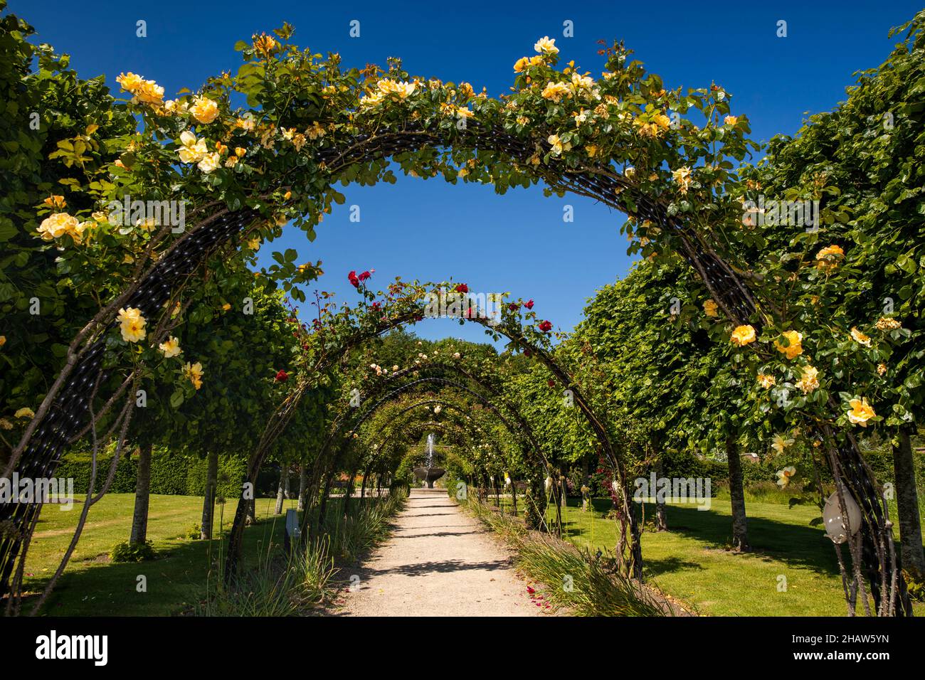 UK Northern Ireland, Co Down, Bangor, Castle Park, Walled Garden, rose arbour Stock Photo