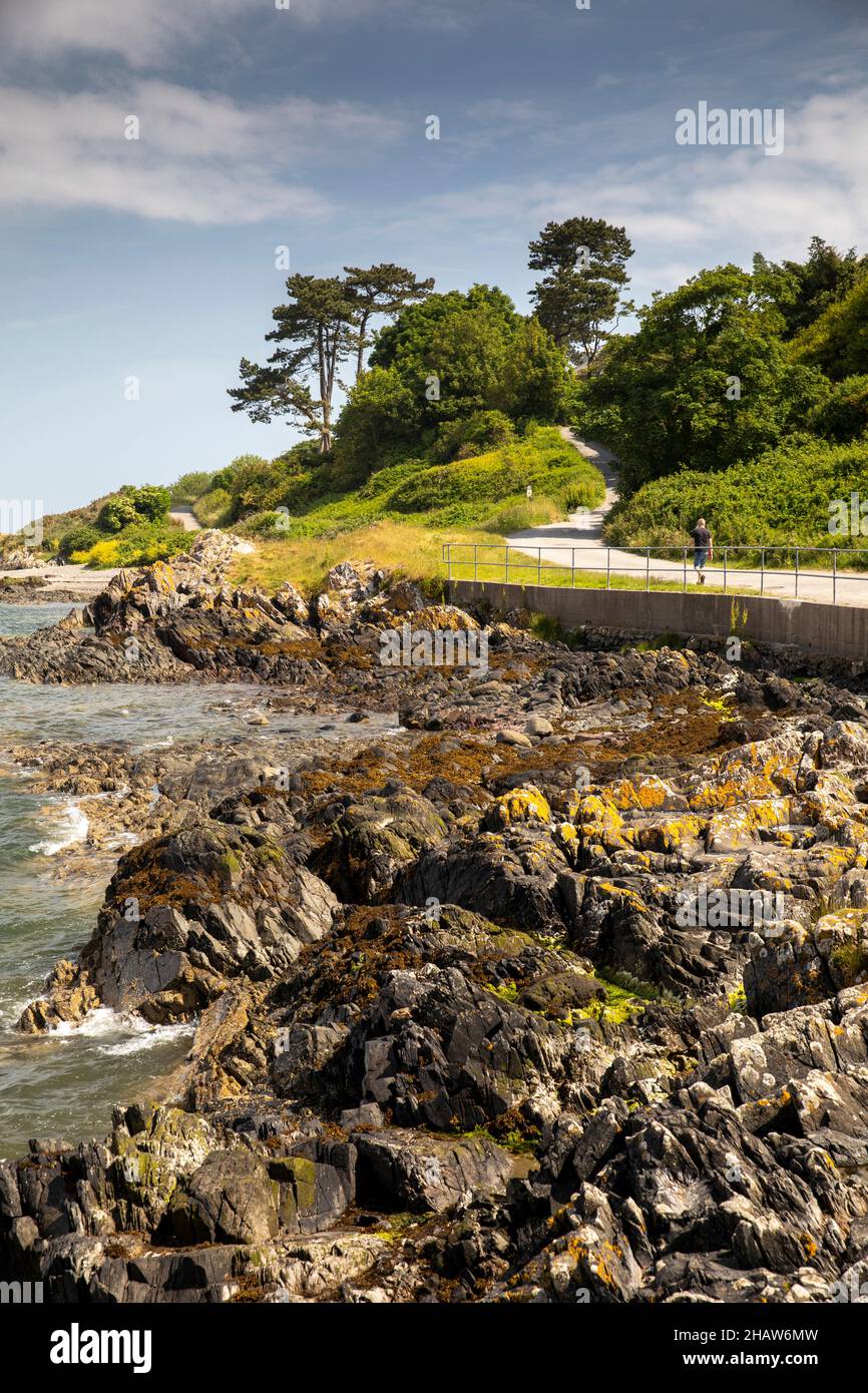 UK Northern Ireland, Co Down, Bangor, Stricklands (Fairy) Glen, man