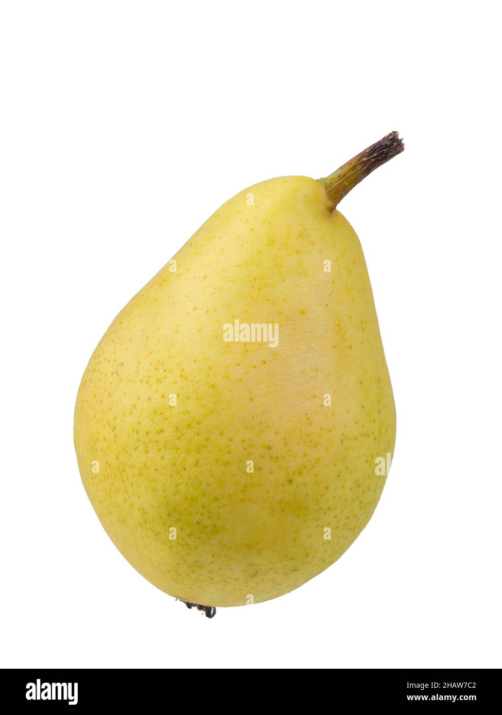 Pear variety Santa Maria, cut out Stock Photo
