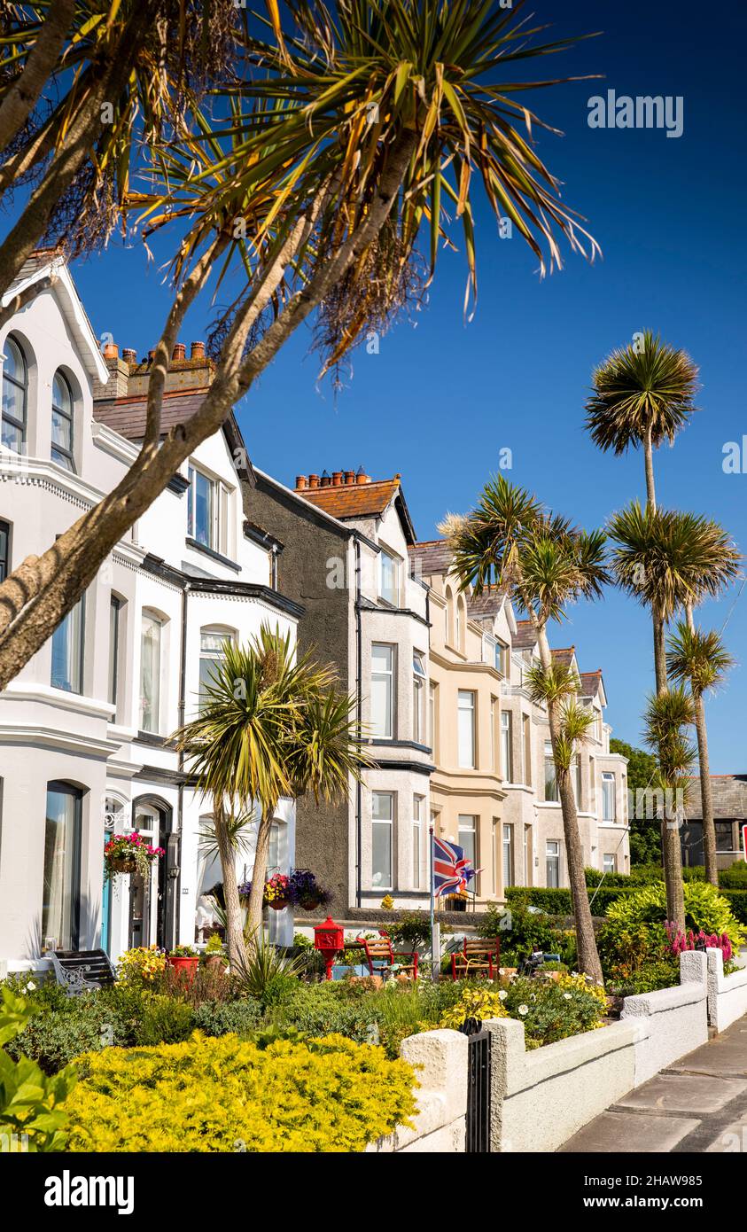 UK Northern Ireland, Co Down, Donaghadee, palms growing in front