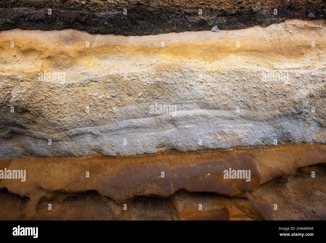Eroded sandstone, Rocha da Relva, Sao Miguel Island, Azores, Portugal Stock Photo