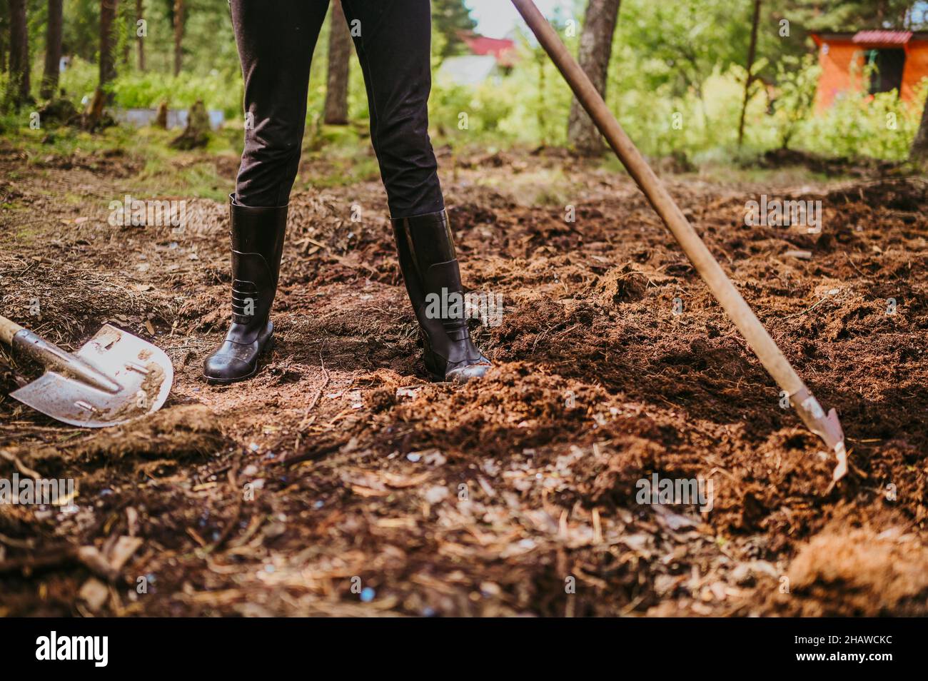 Elderly senior gardener woman digging caring ground level at summer ...