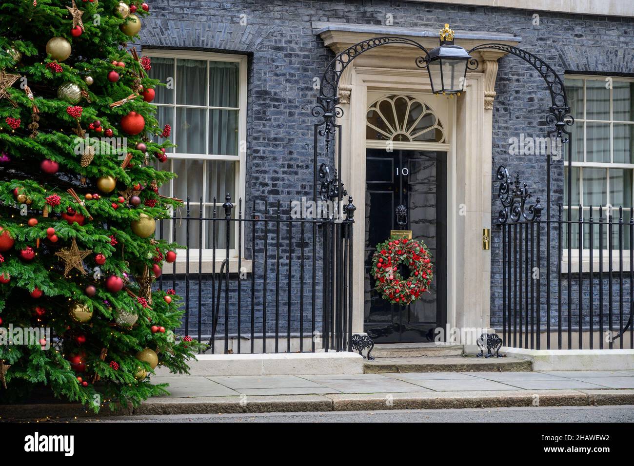 15 December 2021, 10 Downing Street, London, UK. Christmas tree and wreath outside No 10, home of the British Prime Minister Stock Photo