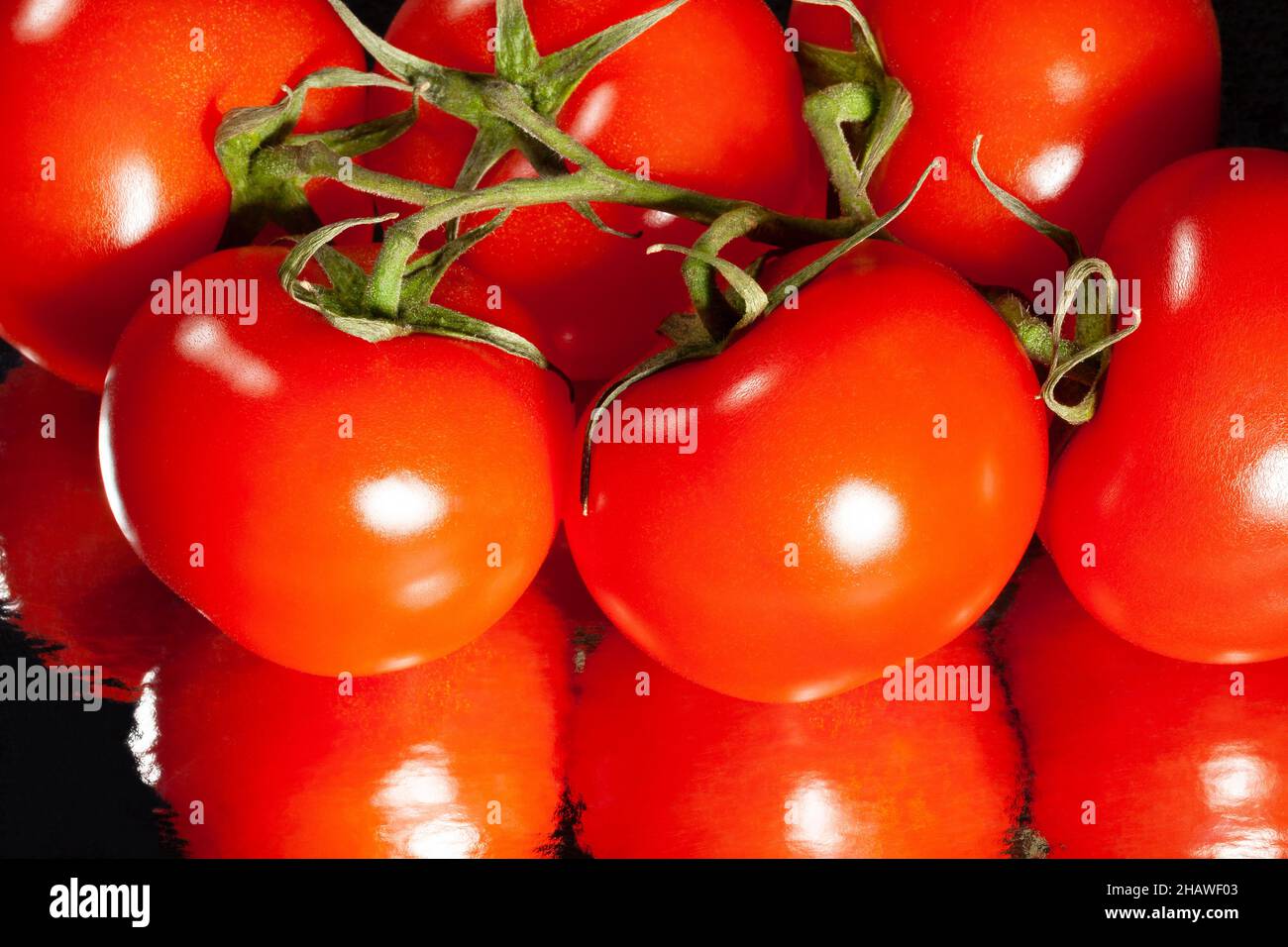 tomato branch on reflective background Stock Photo