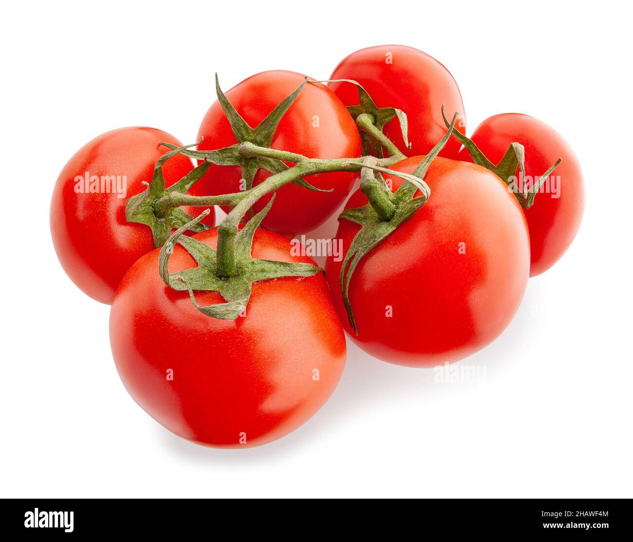 tomato branch path isolated on white Stock Photo