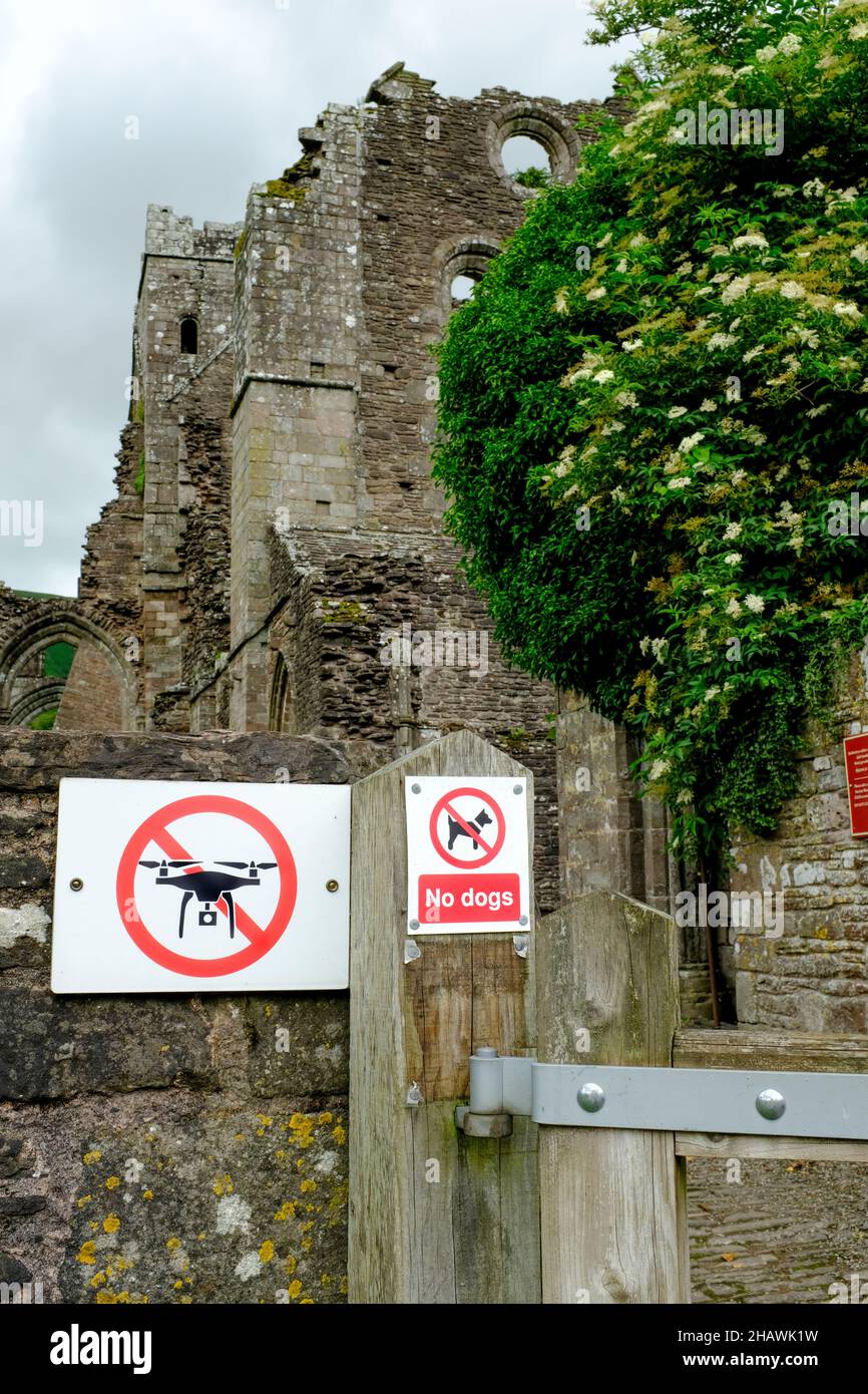 Public signposts prohibiting dogs and drones on the property of Llantony Priory, Llanthony, Abergavenny, Herefordshire, Wales, UK Stock Photo