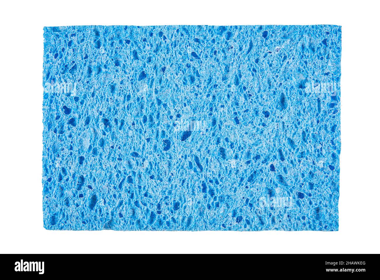 colorful blue foam rubber sponges isolated on a white background for