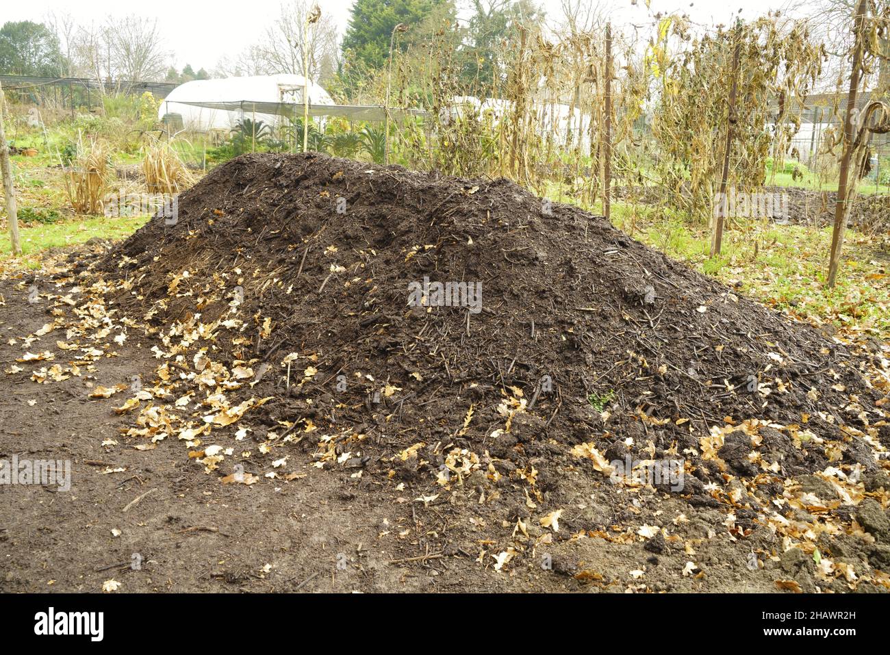 Green waste compost on an allotment Stock Photo Alamy