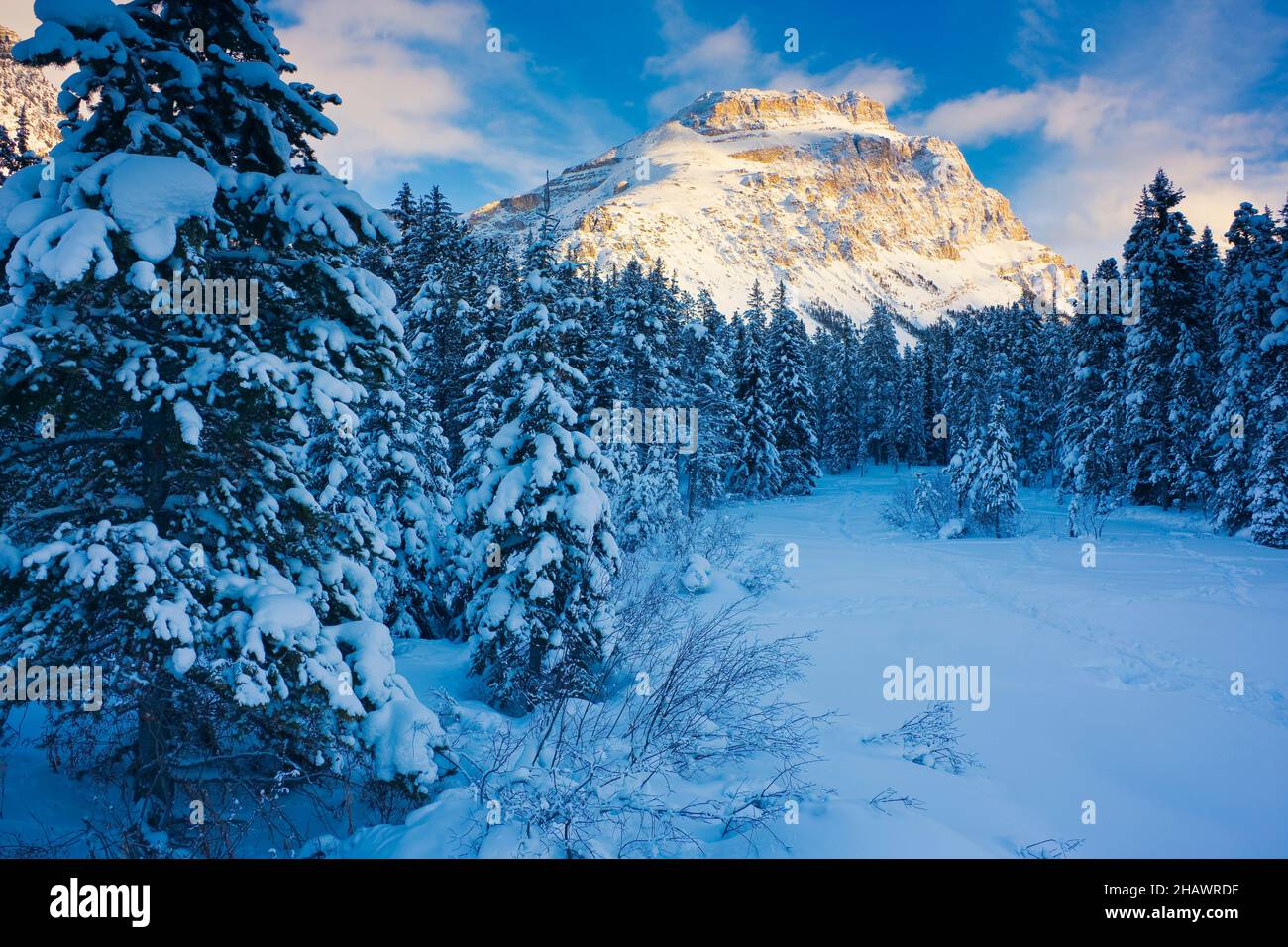 Mount Hector and snow covered trees in winter, Banff National Park, Alberta, Canada Stock Photo