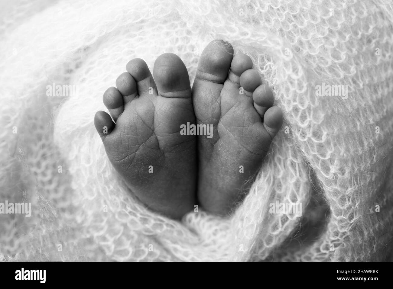 The tiny foot of a newborn. Soft feet of a newborn in a blanket Stock
